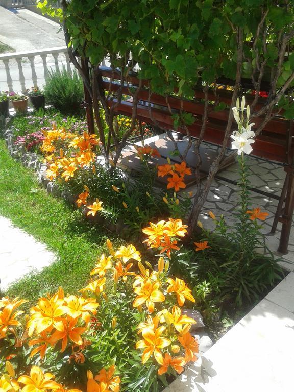 Apartment And Rooms Markovic Senj  Rum bild