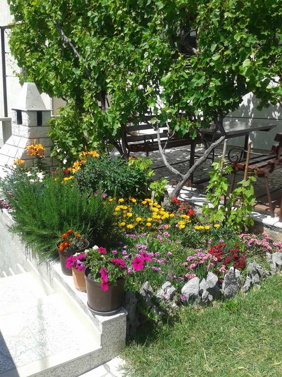 Apartment And Rooms Markovic Senj  Rum bild